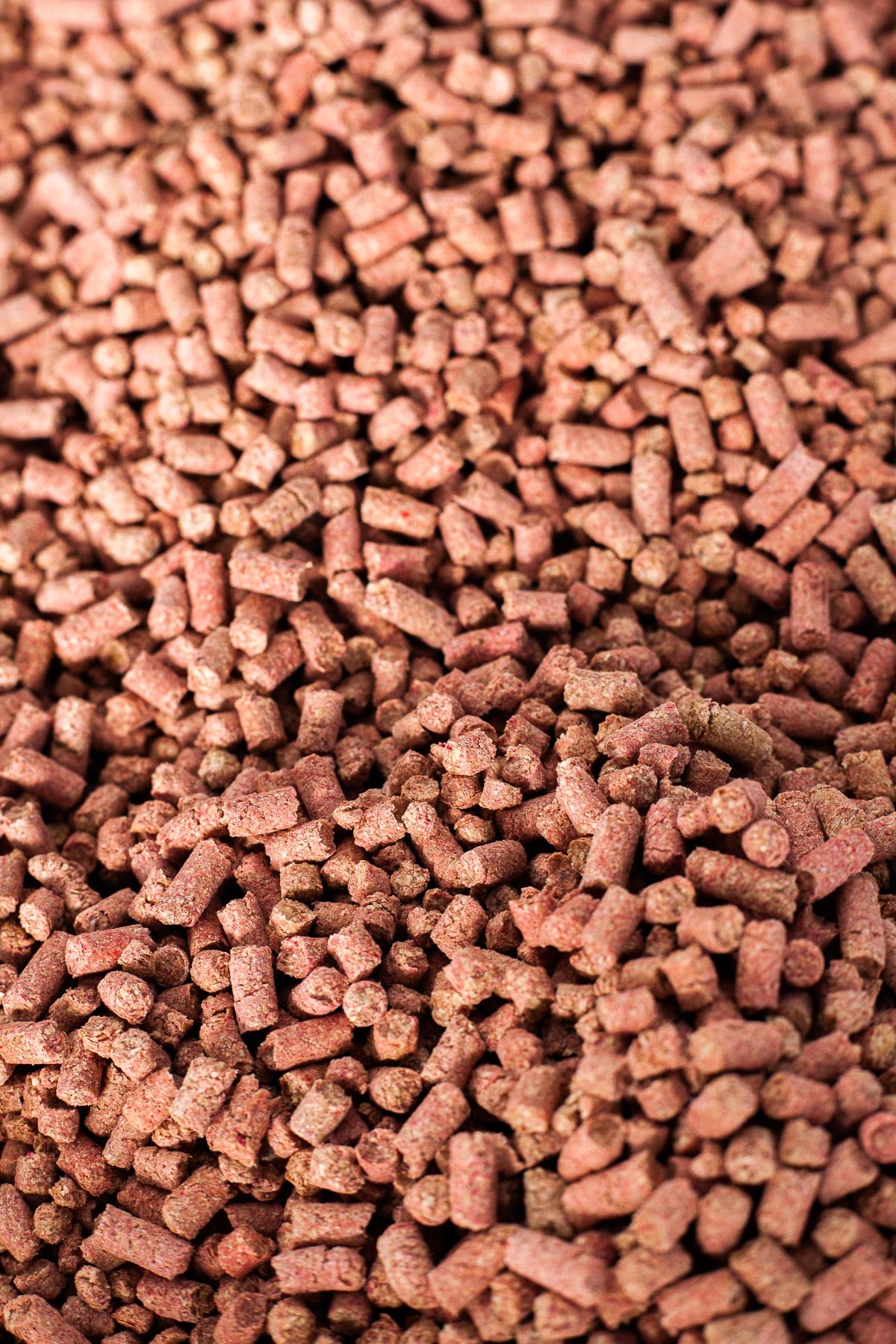 Sardine Burley Pellet